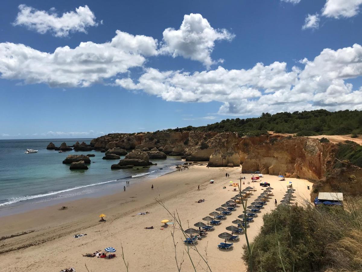 Apartment Paraiso Vale Da Ribeira *